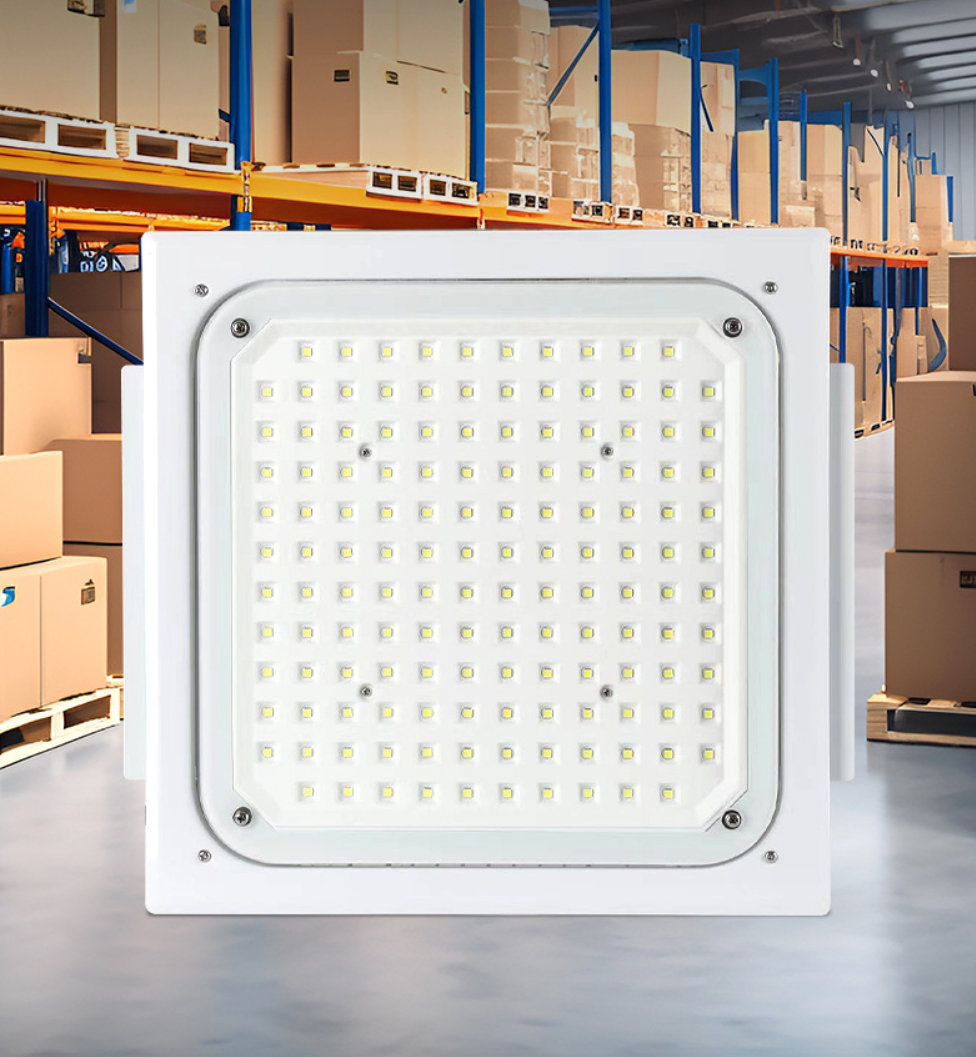 LED Explosion-proof Lighting, Recessed Mount, Surface Mount & Ceiling Mount Canopy Special Lights, LED Explosion-proof Emergency Lights